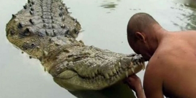 Kỳ lạ chú cá sấu sống ở ngôi đền thiêng: Hơn 70 năm chỉ ăn chay