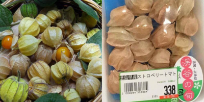 Những thực phẩm ở Việt Nam cho không cũng được, sang Nhật lại thành đặc sản, giá bán siêu đắt đỏ
