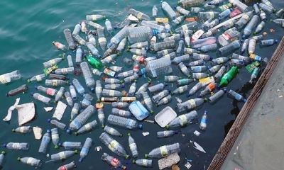 Rác thải nhựa một lần vẫn tăng đáng kể, cần sớm có chế tài xử lý nghiêm