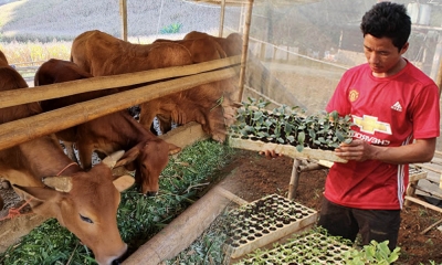 Chàng trai người Mông vay tiền đi Israel học cách làm nông nghiệp, về nước trồng rau sạch thu 200 triệu đồng/năm