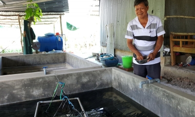 Nuôi lươn không bùn trong bể xi măng, nông dân Sóc Trăng thu lời 45 triệu đồng/lứa