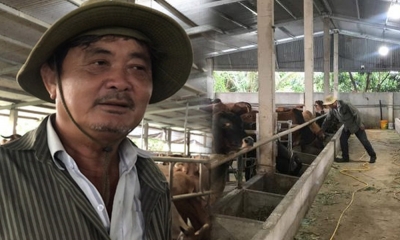 Lạ kì trang trại nuôi 400 con bò ở Đồng Nai dù chưa bán con nào vẫn thu lời tiền tỷ mỗi năm