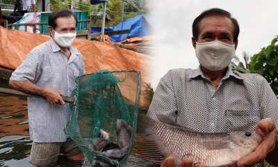 Đổi mới nuôi cá tai tượng trong bể bạt, nông dân Cần Thơ trúng mánh lớn thu lãi trăm triệu