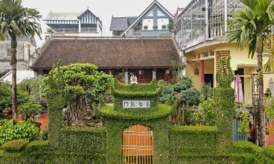 Cận cảnh căn nhà có hàng rào bằng cây ô rô xanh mượt 'độc nhất vô nhị' ở Hà Nội