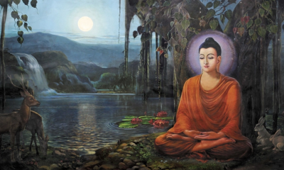 Thấm thía 4 câu chuyện về tâm đại bi vô lượng của Đức Phật trước khi Niết Bàn