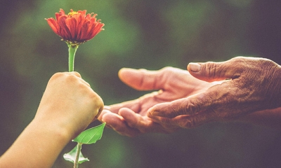 Gieo hạt thiện lương liệu có nhận được quả ngọt?