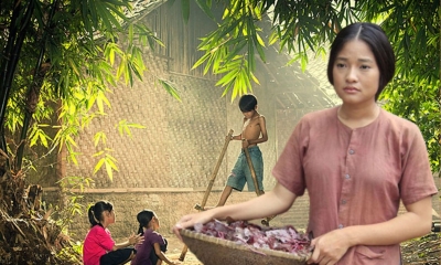 Tiếng lòng của chị Hai – Câu chuyện xúc động nhân văn