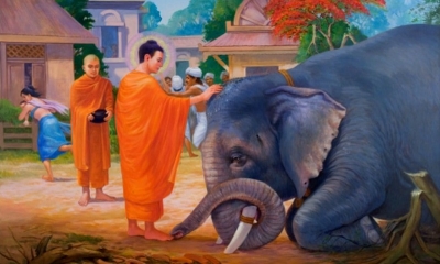 Sức mạnh của sự từ bi và trí tuệ nhà Phật