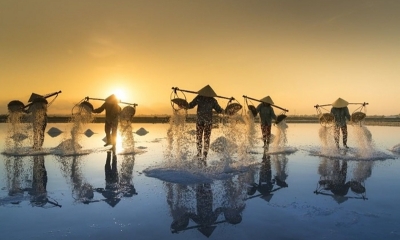 Ruộng muối Hòn Khói, Nha Trang: 'Hớp hồn' du khách bởi vẻ đẹp bình yên, nên thơ