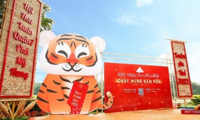 Lượn một vòng châu Á xem các nước trang trí linh vật hổ năm Nhâm Dần 2022 có gì đặc biệt