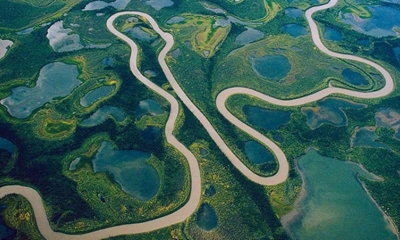 Vì sao dài thứ 2 thế giới nhưng Amazon không có một cây cầu nào bắc qua?