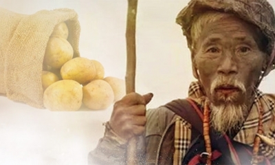 Câu chuyện ông lão nghèo đổi khoai tây lấy bao tải vàng và bài học đắt giá về lòng tham