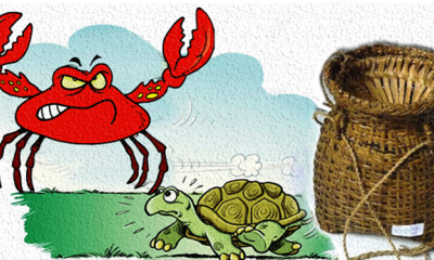 Câu chuyện đáng suy ngẫm: Rùa và cua cùng bị nhốt trong chiếc giỏ tre nhưng tại sao chỉ rùa thoát ra được?