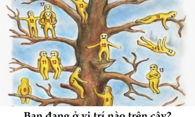 Trắc nghiệm: Chọn một số ngẫu nhiên trên cây để biết được bạn là ai trong xã hội?