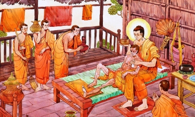 Phật dạy: Bị bệnh thì nương bệnh mà tu  