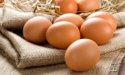 Thi THPT Quốc gia, ăn trứng có bị trượt?