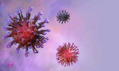 Chuyên gia phân tích 5 yếu tố khiến nhân loại buộc phải khiếp sợ virus corona