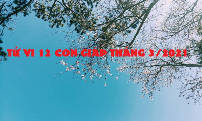 Luận giải tử vi tháng 3/2021 dương lịch của 12 con giáp chi tiết nhất