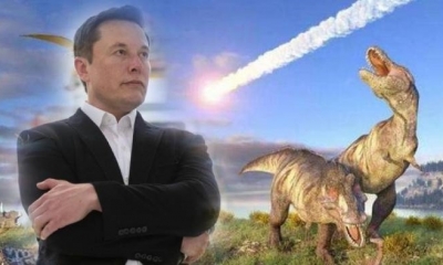 Tỷ phú Elon Musk kêu gọi nhân loại có lối sống 'đa hành tinh' để thoát khỏi cuộc đại tuyệt chủng hàng loạt