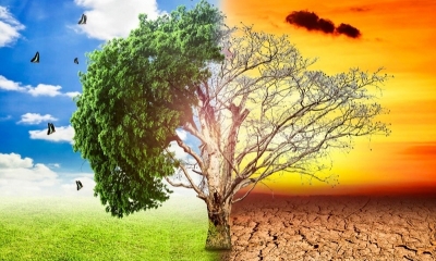 Biến đổi khí hậu là gì và biến đổi khí hậu khiến mùa hè 2022 diễn biến ra sao?