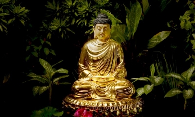 11 lời răn quý hơn vàng của Đức Phật thức tỉnh hàng triệu người đang rơi vào bế tắc