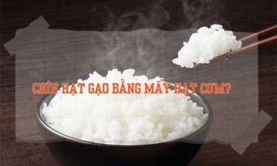 Câu đố tiếng Việt: Chín hạt gạo bằng mấy hạt cơm?