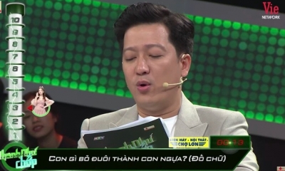 Câu đố tiếng Việt: Con gì bỏ đuôi thì thành con ngựa? - khá hack não đó nhé