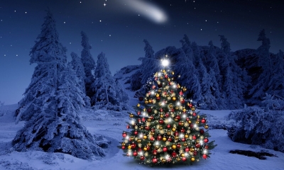5 câu chuyện mùa Noel khiến bạn tin vào phép màu cuộc sống sẽ đến từ những điều bình dị