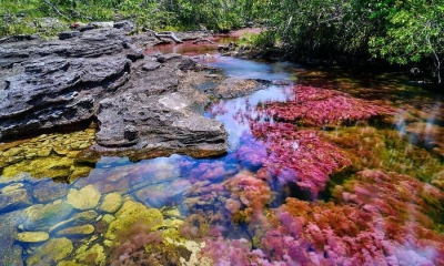 Xuýt xoa trước những con sông sắc màu đẹp nhất thế giới, nhìn một lần là mê cả đời