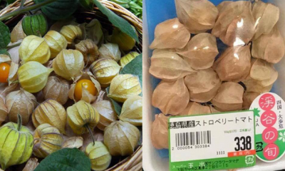 Những thực phẩm ở Việt Nam cho không cũng được, sang Nhật lại thành đặc sản, giá bán siêu đắt đỏ