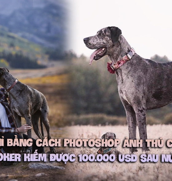 Chỉ bằng cách photoshop ảnh thú cưng, TikToker kiếm được 100.000 USD sau nửa năm