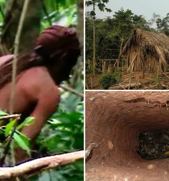 Người đàn ông trong hố - thổ dân cuối cùng của bộ lạc Brazil đã qua đời