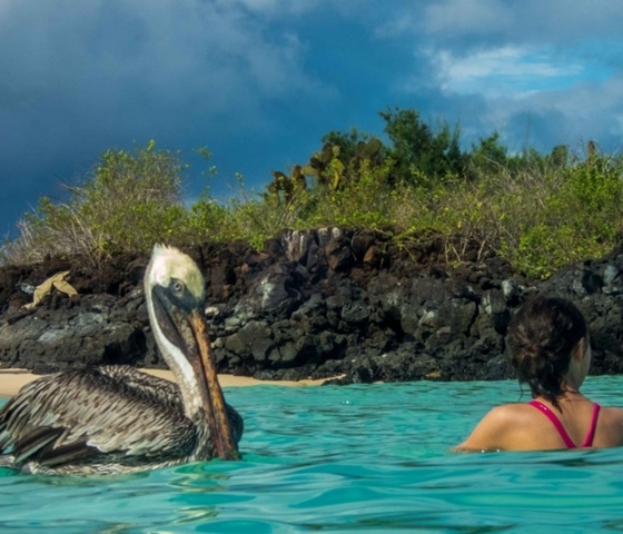 Khám phá quần đảo 'đẹp nhất hành tinh' Galapagos - Ecuador