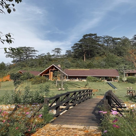 Giải mã sức hút của Lat Valley - resort 'ẩn mình' giữa rừng thông khiến vợ chồng Hà Tăng mỗi năm ghé vài lần