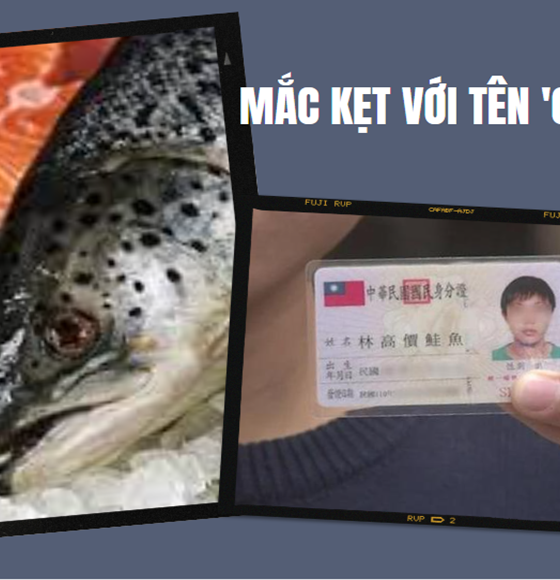 Bi hài chuyện người dân Đài Loan mắc kẹt với tên 'cá hồi'