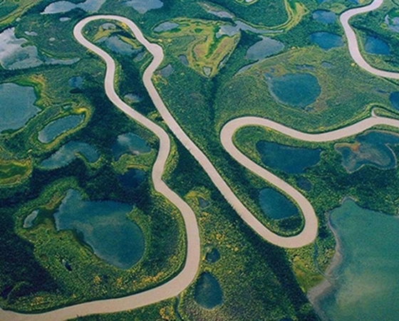 Vì sao dài thứ 2 thế giới nhưng Amazon không có một cây cầu nào bắc qua?