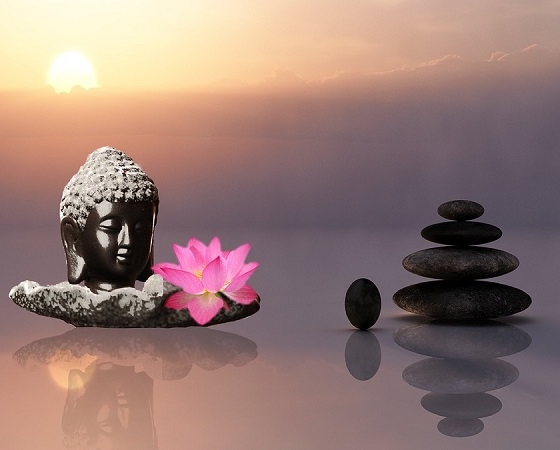 Lời Phật dạy trong cuộc sống: Kim chỉ nam giúp bạn tìm ra con đường của riêng mình