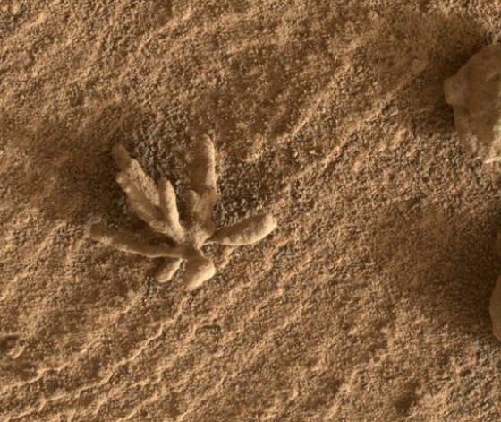 Bí ẩn vũ trụ: Tàu thám hiểm của NASA phát hiện mảnh san hô kỳ lạ trên bề mặt sao Hỏa