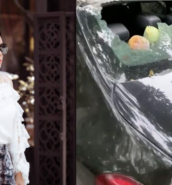 Khoe cây xoài trĩu quả trong vườn nhà, Phượng Chanel mất ngay bạc triệu, nguyên nhân khiến cư dân mạng vừa thương vừa phải cười mệt