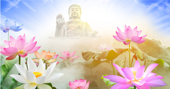 Ý nghĩa 7 bước chân trên hoa sen và câu nói của Đức Phật khi mới chào đời