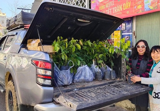 Chuyện người phụ nữ Đà Lạt tặng 4.000 cây xanh và lời dặn 'chăm trồng cây' của người bà đã khuất