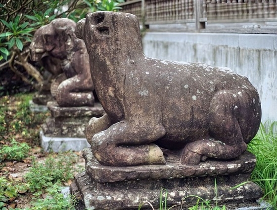Khám phá bí ẩn tượng trâu nghìn năm tuổi được tạo hình trong thế phủ phục ở chùa Phật Tích, Bắc Ninh