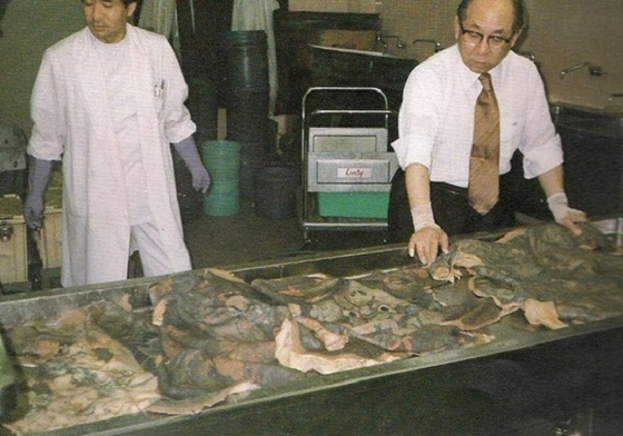 Từ phát hiện xăm mình bằng kim có thể ngăn chặn bệnh giang mai tái phát đến bộ sưu tập tưởng rùng rợn nhưng đầy tính nghệ thuật của bác sĩ người Nhật