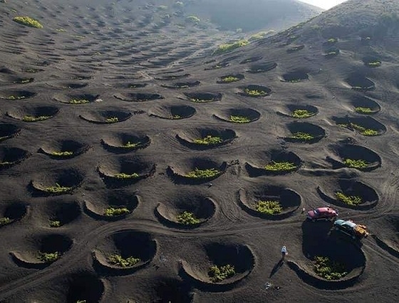 Đã mắt ngắm nhìn những 'vườn nho sao băng' trên đảo núi lửa Lanzarote