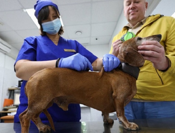 Nga trở thành quốc gia đầu tiên trên thế giới đăng ký sản xuất vaccine COVID-19 cho động vật