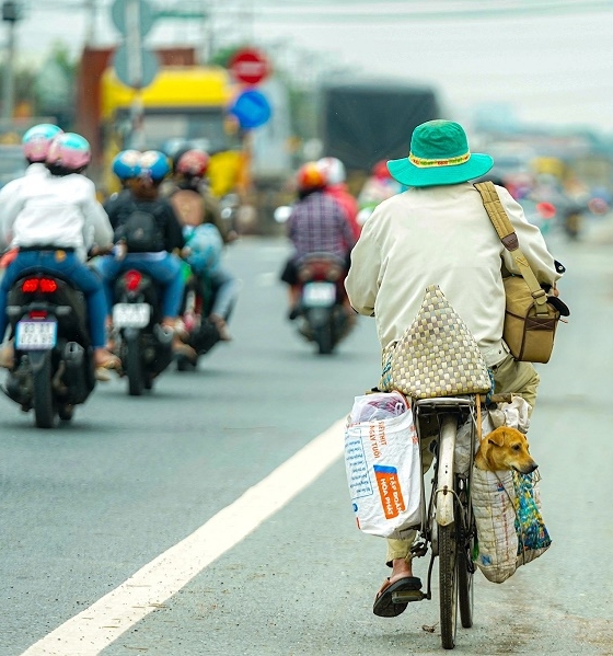'Lão Hạc' thời hiện đại và hành trình đạp xe chở 'cậu vàng' từ Sài Gòn về Bến Tre