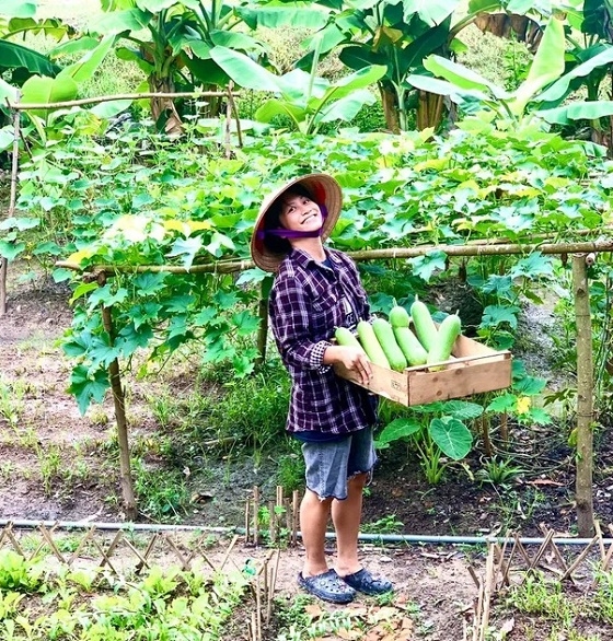 Nữ CEO bỏ phố về Tây Ninh sống chậm, cải tạo trang trại cũ trồng rau, thu hoạch nặng trĩu tay