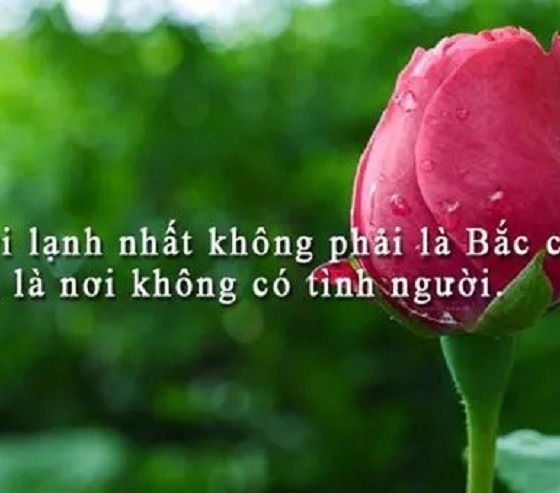 Lúc gian nan hoạn nạn mới hiểu thấu lòng người