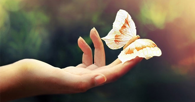 Read more about the article Hiệu ứng cánh bướm: Một động thái nhỏ cũng có sức mạnh thay đổi cả đời người!