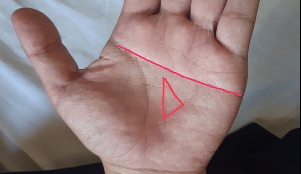 Read more about the article Cổ nhân nói: “Lòng bàn tay có hình tam giác ắt sẽ giàu có”, vì sao?
